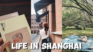 LIFE IN SHANGHAI  content creator’s weekend Miu Miu popup Summer Reads Michael Borremans exhibit [upl. by Turino288]