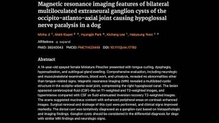 Clinical outcome of cats with suppurative otitis media and intact tympanum [upl. by Itra]