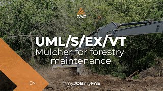 FAE UMLSEX150 VT  Forestry mulcher on Volvo EC220D excavator [upl. by Boni]