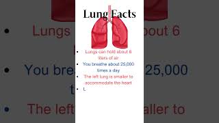 5 Fascinating Lung Facts in 30 Seconds  Pulmonology  Medical specialty [upl. by Ttergram]