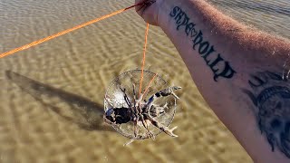 May Yabby Jackpot I Caught More Yabbies Than I Expected In May [upl. by Wasserman]