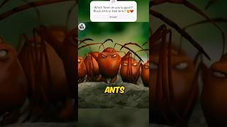 Black Ants Vs Red Ants Which team do you support ❤️🤔 shorts [upl. by Ayanej]