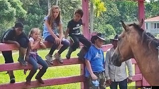 Horse Camp Fun Adventures at Banana Bank Lodge Belize [upl. by Job899]