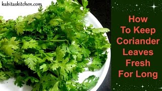 How To Keep Coriander Leaves Fresh For Long  Useful Kitchen Tip by Kabitaskitchen [upl. by Bittencourt]