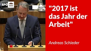 2017 ist das Jahr der Arbeit  Andreas Schieder [upl. by Jahdal]