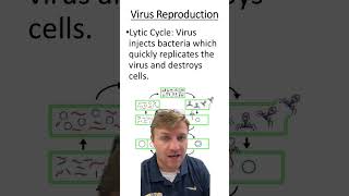 Lytic vs lysogenic cycles [upl. by Allit]