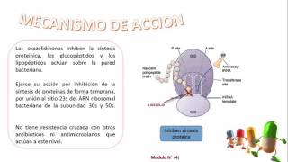 MÓDULO 4 PARTE 4 [upl. by Llennoc]