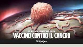 Vaccino contro il cancro efficace nel 100 dei casi sui topi malati di tumore [upl. by Atsirak]