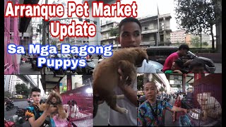 Arranque Pet Market Update [upl. by Nifares]