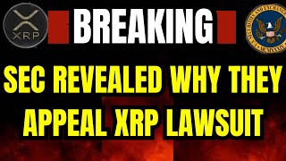 XRP UPDATE Ripple’s CrossAppeal May Be Delayed as SEC Fails to File Form C crypto bitcoin [upl. by Obrien]