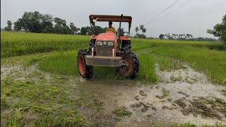 Kubota MU 5502 4wd Going To Field For Rotavator  Rotavator Performance In 4wd Tractor [upl. by Eilyac]