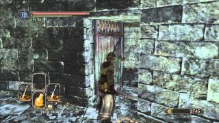 Dark Souls 2  Guide 26  Old Akelarre Part 1 [upl. by Michail]