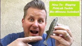 FishLab Tackle BioMinnow Rigging  How To [upl. by Colon]