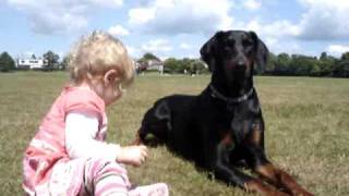 Doberman protects baby toddler at the park MUST SEE [upl. by Nahsab]