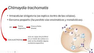 Chamydia trachomatis [upl. by Ahsain95]