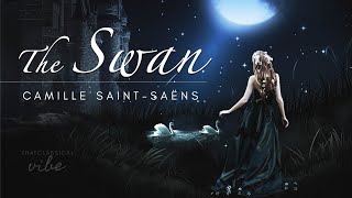 The Swan  SaintSaëns extended 1 hour [upl. by Nuri177]