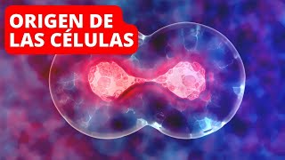 ¿Cómo se originaron las células Evolución de las células eucariotas y procariotas [upl. by Camilla]