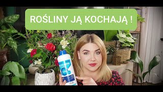 WODA UTLENIONANADTLENEK WODORUREMEDIUM NA ROĹšLINNE PROBLEMYJAK POZBYÄ† SIÄ CHORĂ“B I SZKODNIKĂ“W [upl. by Dnumsed]