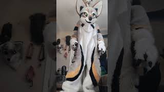 zacharygraywolf myfurrysuit myfurrysuitmasoct [upl. by Haropizt]