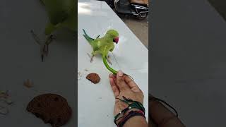 Mithuu ae marsu khadi 🌶cutebaby funnyvideos shortvideo shortsvideo shorts short [upl. by Varini]