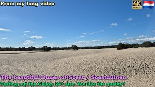 Soestduinen  Soester Duinen magnificent place to reconnect with nature From my long 🚙 video 🇳🇱 [upl. by Aelaza]