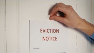 How much does an eviction cost in Chicago [upl. by Inaflahk]