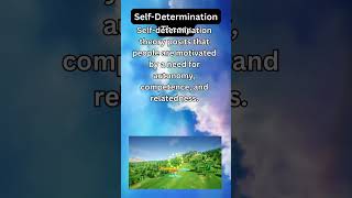 Self Determination Theory [upl. by Dadirac]