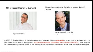 Buchwald Hartwig Palladium catalyzed cross coupling to make CN new bond [upl. by Aneehsar]