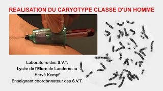 Réalisation dun caryotype humain classé SVT Hervé Kempf lycée de lElorn [upl. by Aima327]