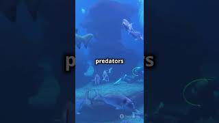 Sharks vs Trees Whos Older 🌊🌳sharkfacts viralscience naturefacts shorts facts [upl. by Vi]