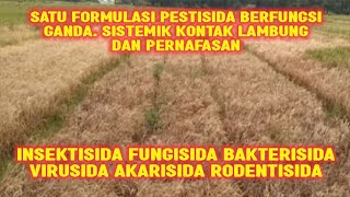 PESTISIDA BERFUNGSI GANDA INSEKTISIDA FUNGISIDA BAKTERISIDA VIRUSIDA AKARISIDA RODENTISIDA [upl. by Rubetta]