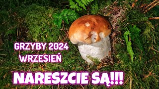 NARESZCIE SĄ GRZYBOBRANIE WRZESIEŃ 2024  PRAWDZIWKI  BOROWIKI [upl. by Ettevi608]