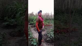 a gunja use din teri sakhiyan karti thi kya baat hai short videocomedy withJyoti Kumar ♥️♥️🙏👍 [upl. by Atteynod]