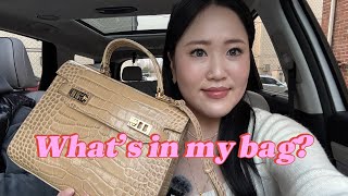 What’s In My Bag 🤎  KOREAN PUNJABAN [upl. by Oz]