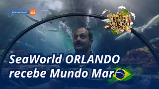 Explorando o Mundo Mar no SeaWorld Orlando [upl. by Fairleigh]