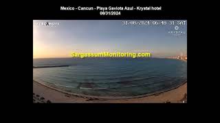 2024 Sargassum Monitoring® Official  Mexico  Cancun [upl. by Enohpesrep]