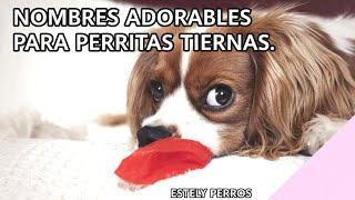 NOMBRES TIERNOS PARA PERRITAS SUPER ADORABLES [upl. by Helli]