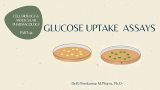 Glucose uptake assay  CBMP  Part 44 [upl. by Novyar676]