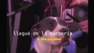 llegué de la barbería bonito y bello nuevecito de paquete [upl. by Betteanne]