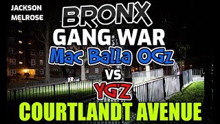 Bronx Gang War  The Start Of The OGz amp The Courtlandt Ave Mac Ballas  JacksonMelrose Houses [upl. by Boesch]