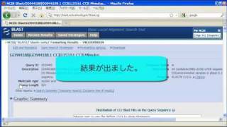 NCBI BLASTの使い方 〜基本編〜 2010 [upl. by Adnahcal]