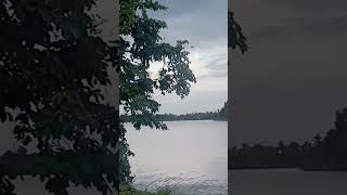 Kerala nature videosbeautiful natureshorts [upl. by Remde]