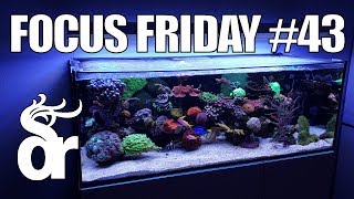 FF43  My Red Sea Reefer Setup for 2019 [upl. by Luke]