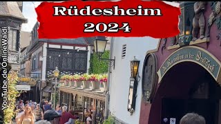 Waldi Spaziert Rüdesheim Altstadt Seilbahn Niederwalddenkmal [upl. by Katee122]