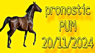 ✅ pronostic PMU  mercredi 20 novembre 2024  🔥🔥🔥 [upl. by Atinehs]