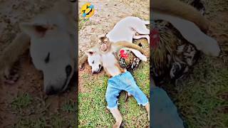 Wait for End🤣LS10 LSTENX reels funnyvideo funnyreelsvideo funnypost funny shorts [upl. by Bev]