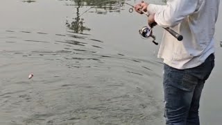 Amazing Fishing video Use Laddu bait catching bighead fish hookfishing method catching fish [upl. by Allebram450]