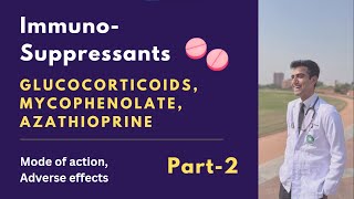 Immunosuppressants part 2 Glucocorticoids Azathioprine Mycophenolate mofetil Mechanism of action [upl. by Raddi223]