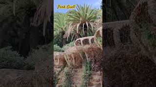 Park Guell in Barcelona Spain 🇪🇸🏞️ barcelona spain Europe travel parkguell [upl. by Jensen846]