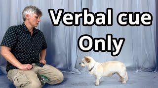 Tips for training a verbal cues [upl. by Lepp440]